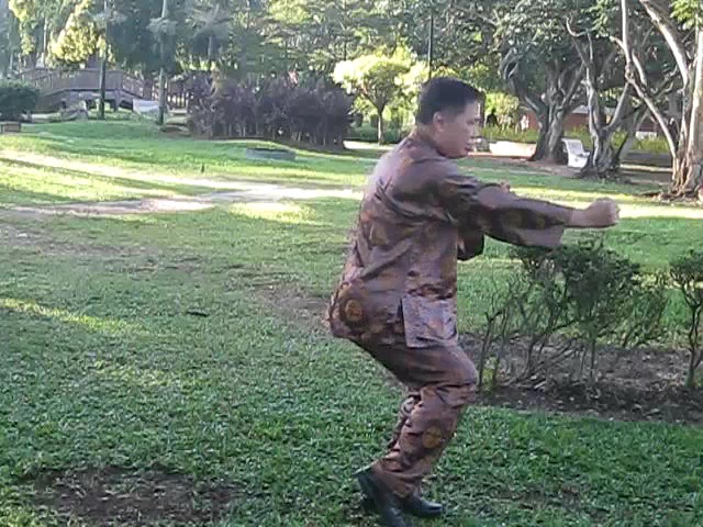 Wu Chuan You Style Taijiquan